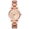 Fossil FES4301 Kadın Kol Saati