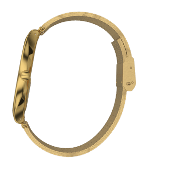 Swatch SYXG100GG Kadın Kol Saati SYXG100GG SYXG100GG